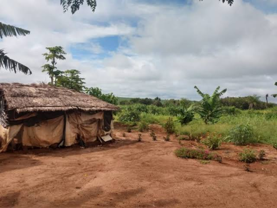 Governo cria conselhos de segurança indígena em Paranhos e Laguna Carapã em MS